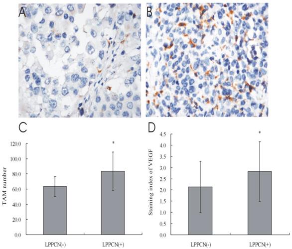 J Cancer Image