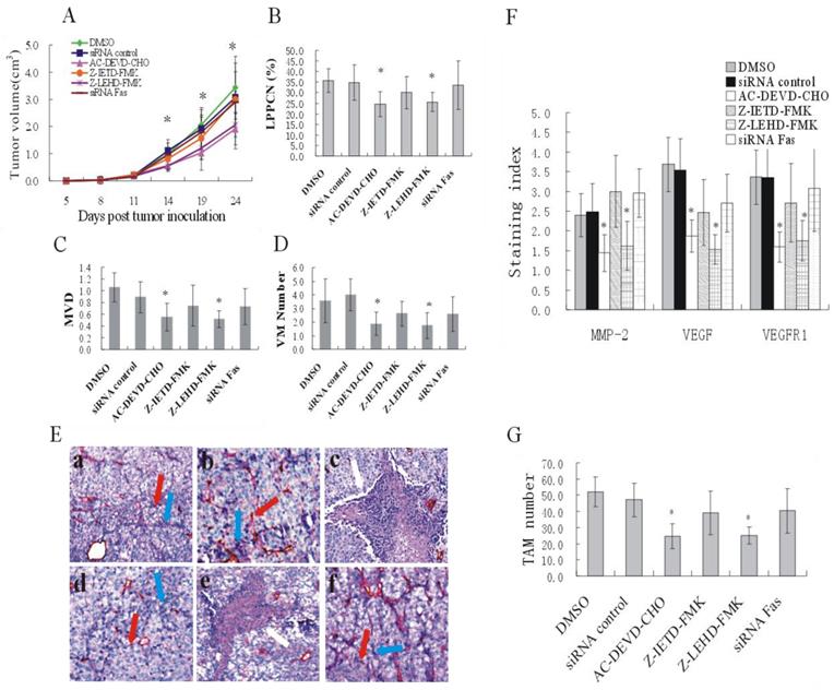 J Cancer Image