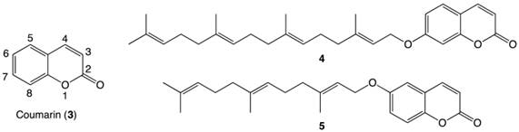 J Cancer Image