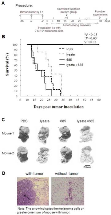 J Cancer Image