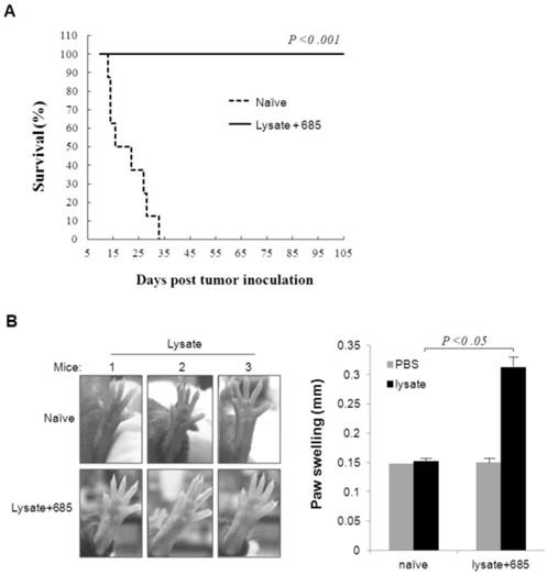 J Cancer Image