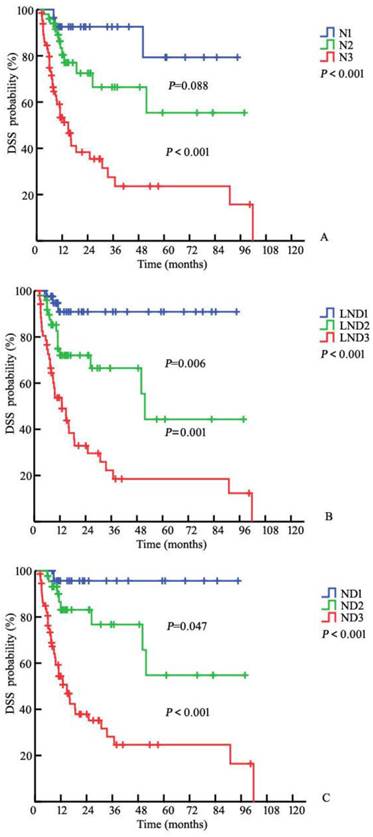 J Cancer Image