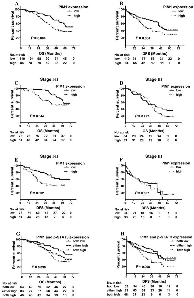 J Cancer Image