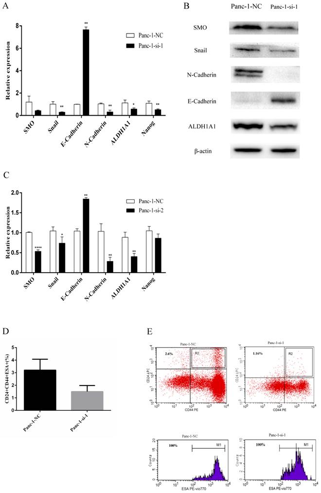 J Cancer Image