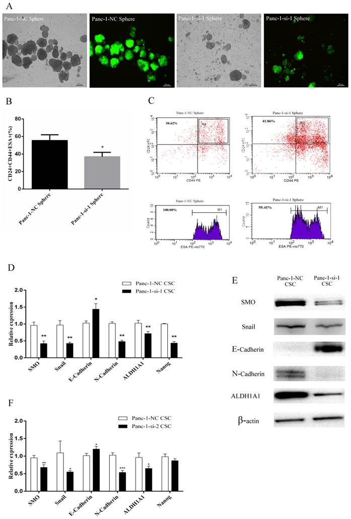 J Cancer Image