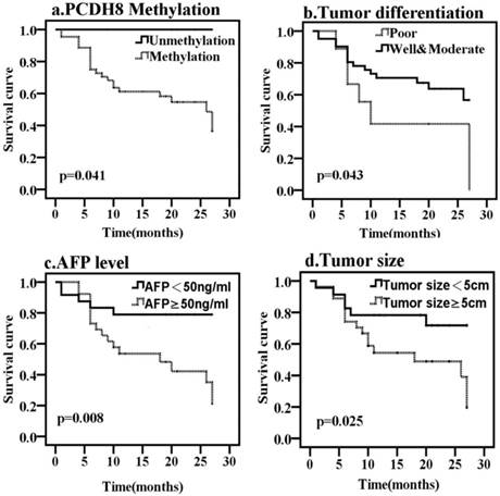 J Cancer Image