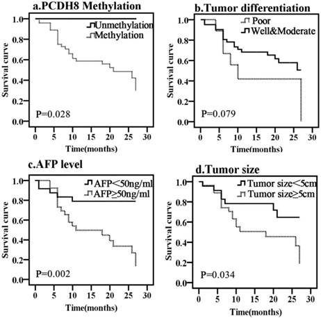 J Cancer Image