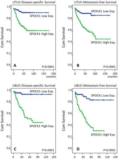 J Cancer Image