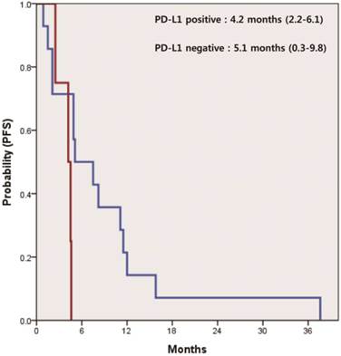 J Cancer Image