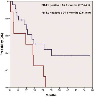 J Cancer Image