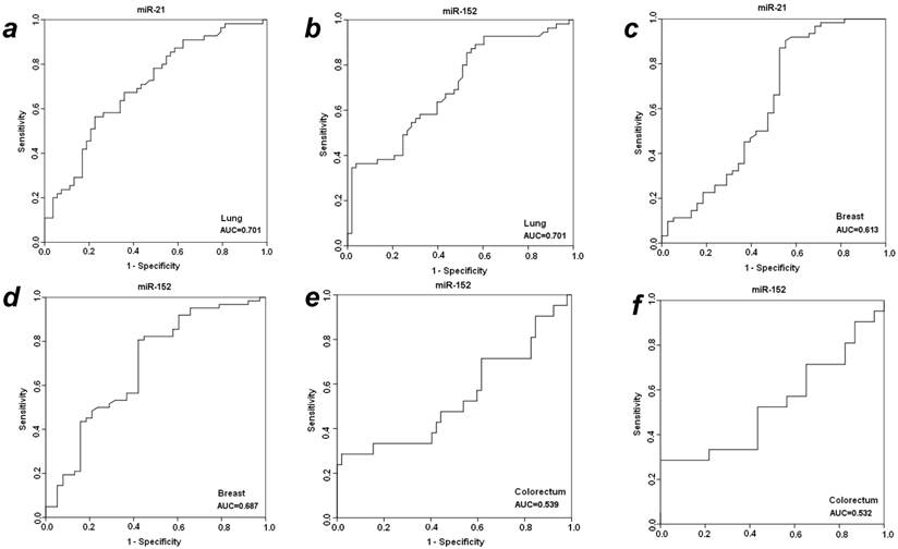 J Cancer Image