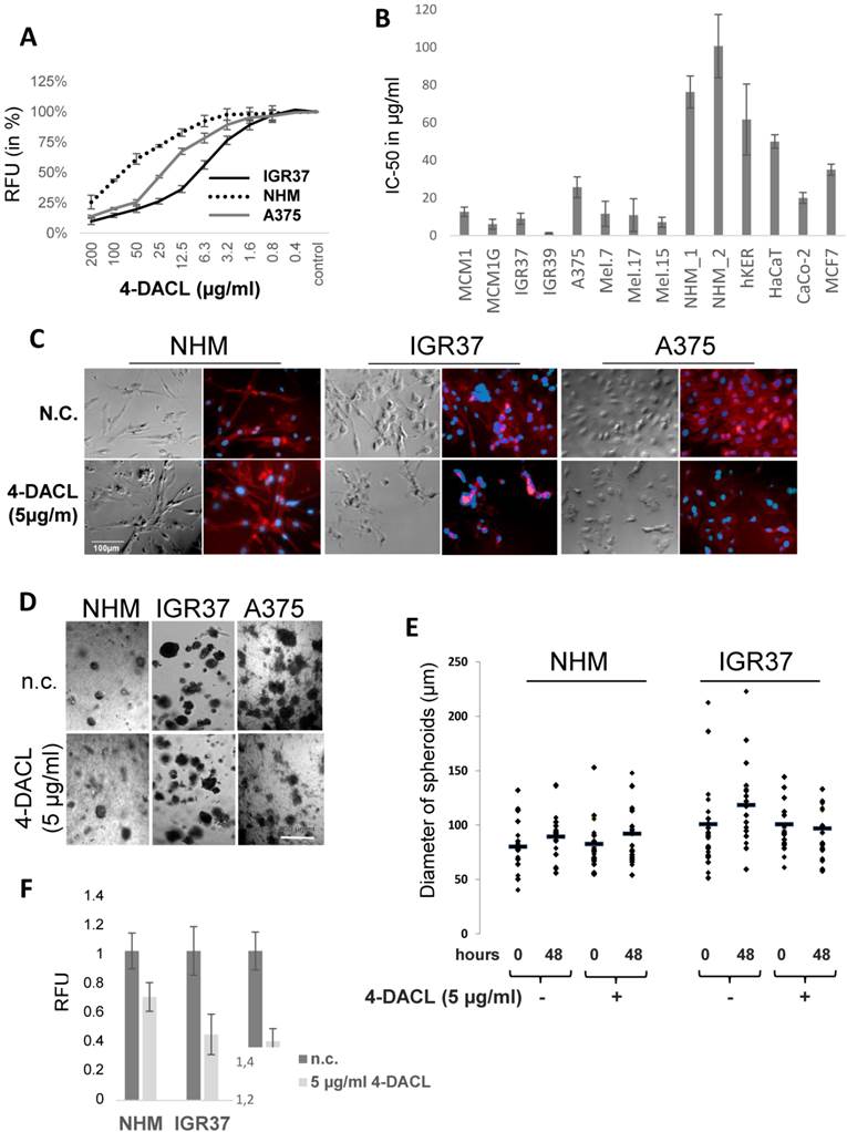 J Cancer Image