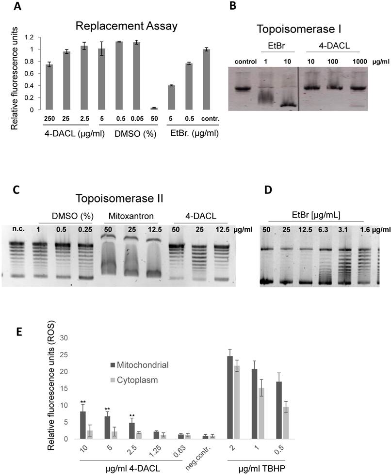 J Cancer Image