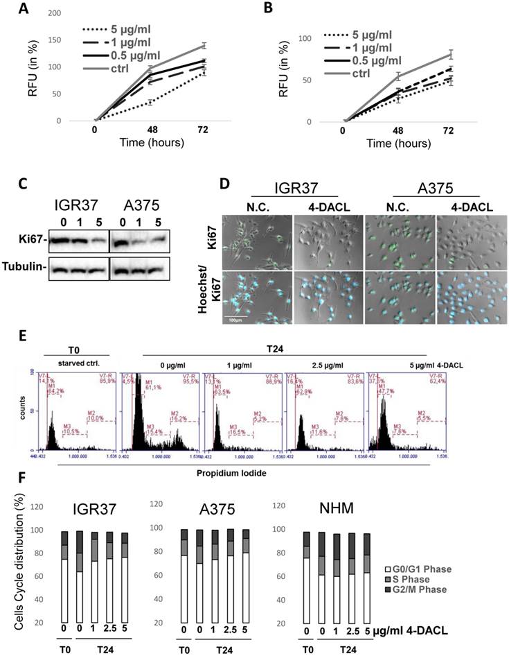 J Cancer Image