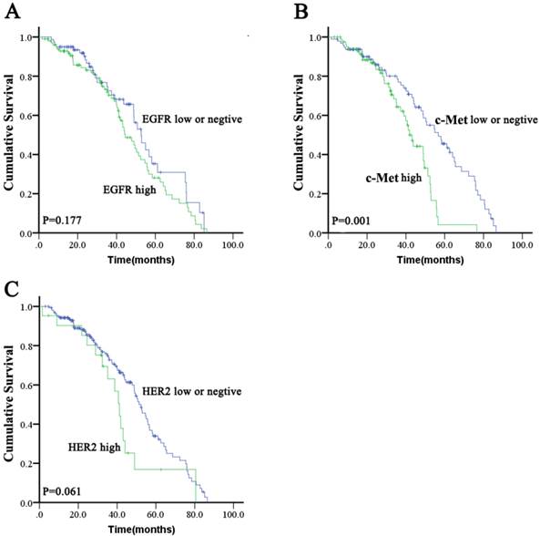 J Cancer Image