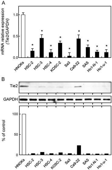 J Cancer Image