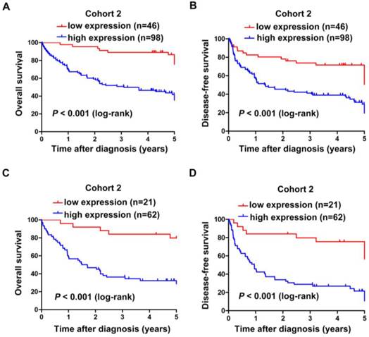 J Cancer Image