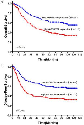 J Cancer Image