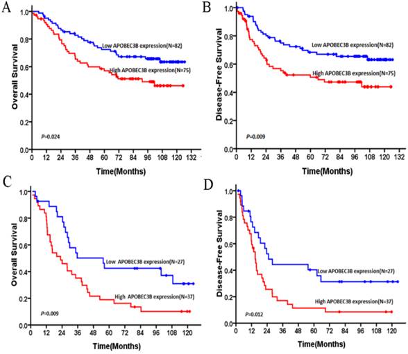 J Cancer Image