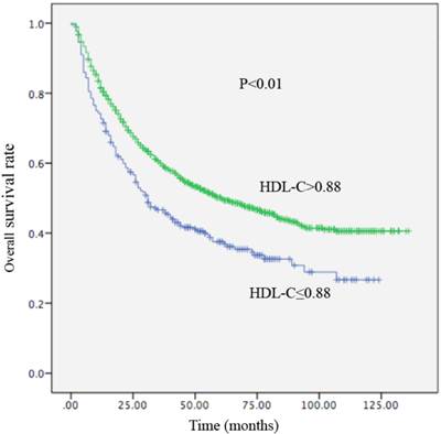 J Cancer Image