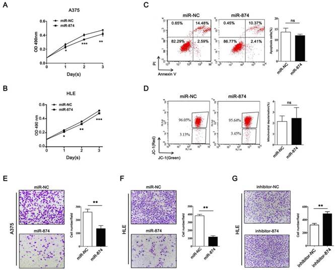 J Cancer Image