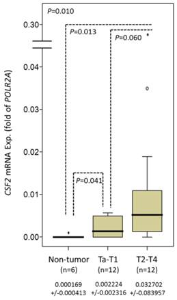 J Cancer Image