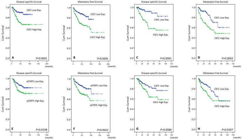 J Cancer Image