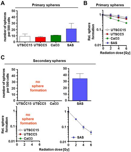 J Cancer Image