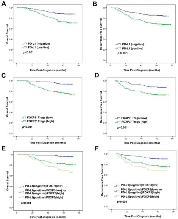 J Cancer Image