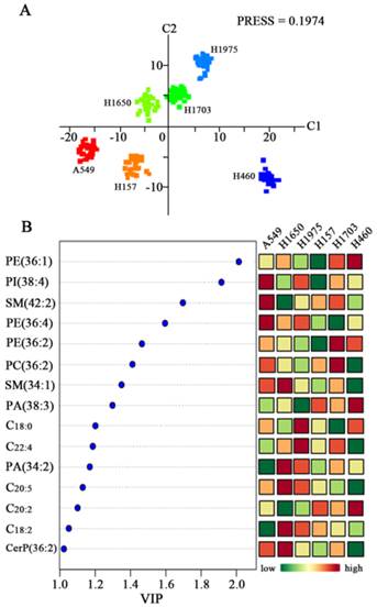 J Cancer Image