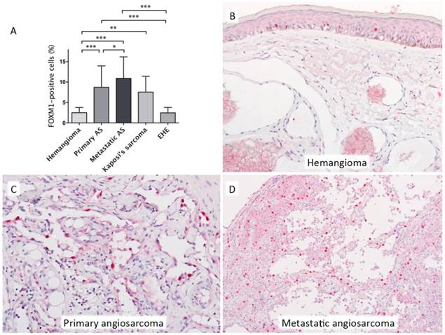 J Cancer Image