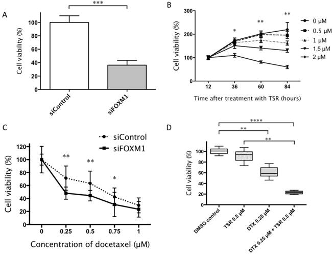 J Cancer Image