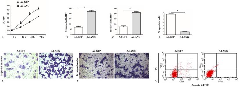 J Cancer Image