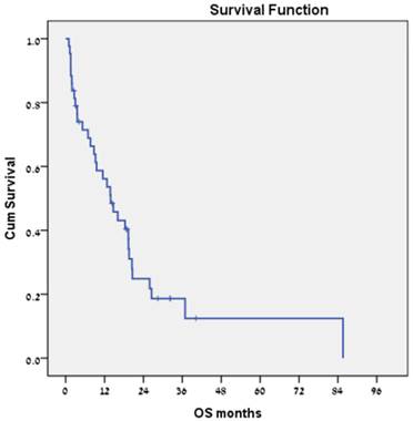 J Cancer Image