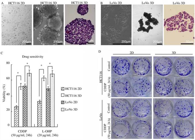 J Cancer Image