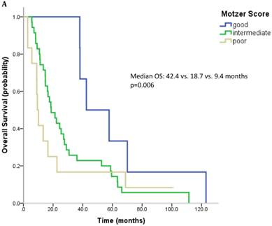 J Cancer Image