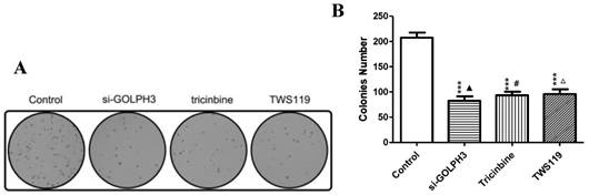 J Cancer Image