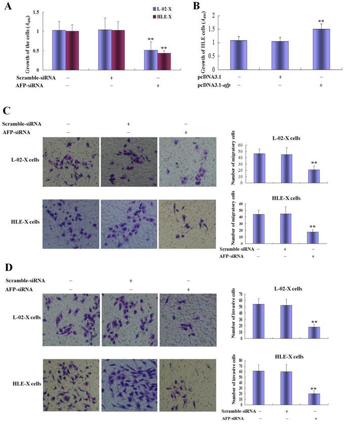 J Cancer Image