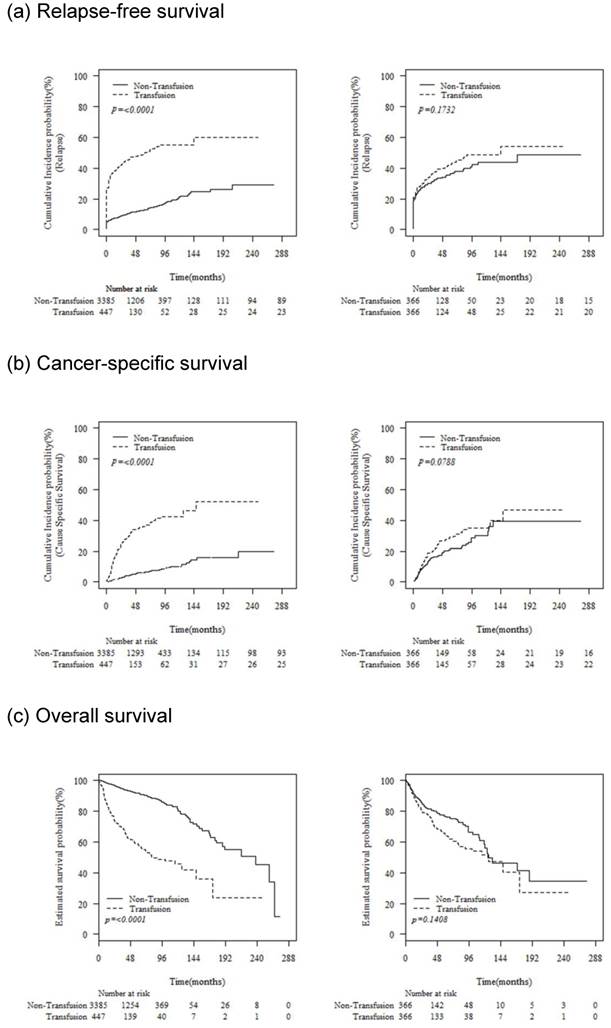 J Cancer Image