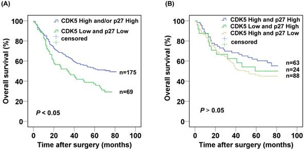 J Cancer Image