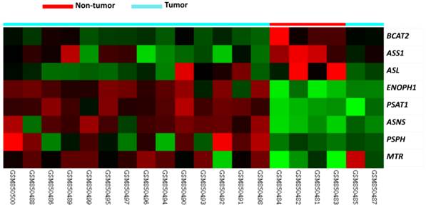 J Cancer Image