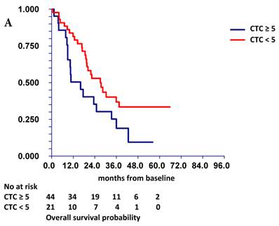 J Cancer Image