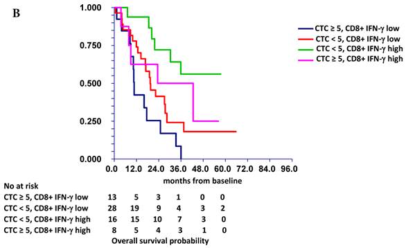 J Cancer Image