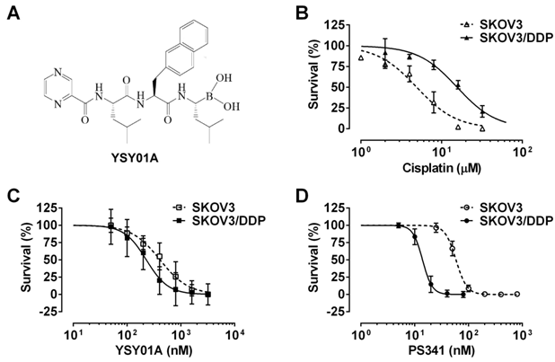 J Cancer Image