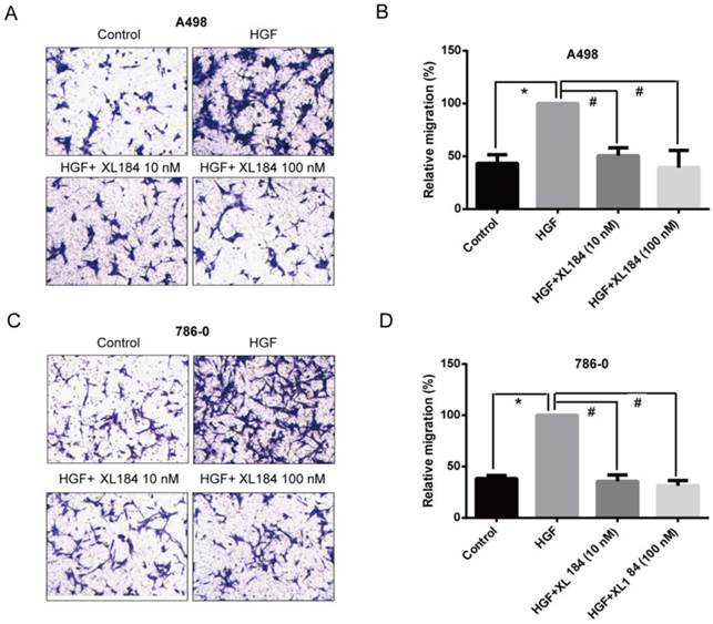 J Cancer Image