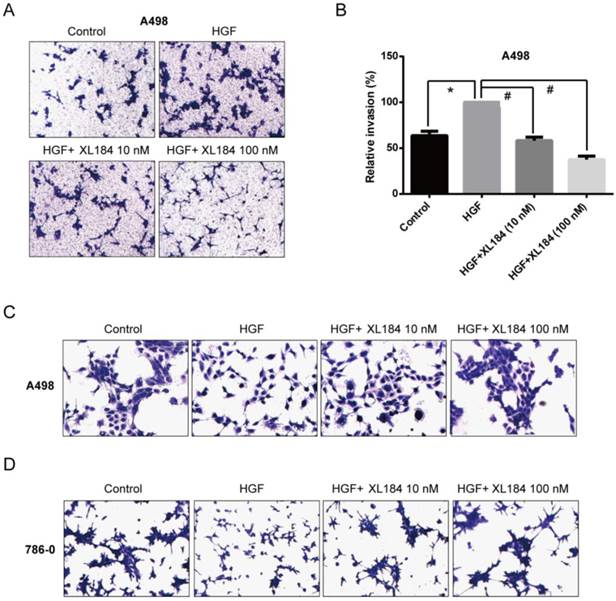 J Cancer Image