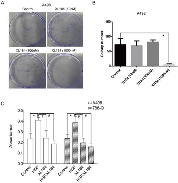 J Cancer Image