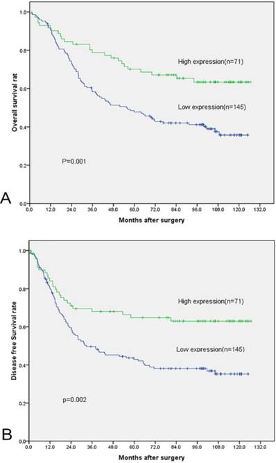 J Cancer Image