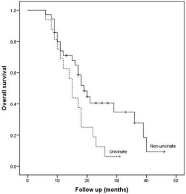 J Cancer Image