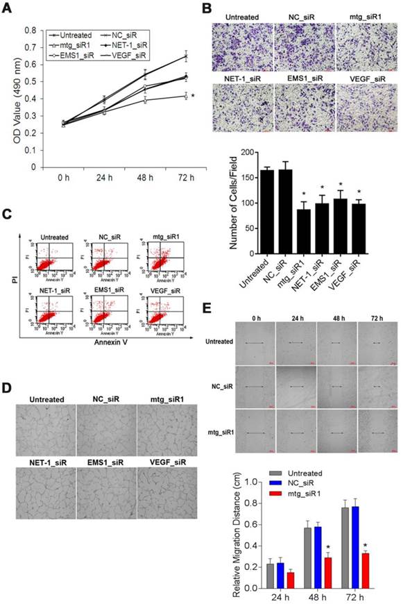 J Cancer Image